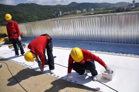 广州科施顿建筑材料有限公司 > 鲁鑫 图 ,热塑性tpo防水卷材厂家,宝山